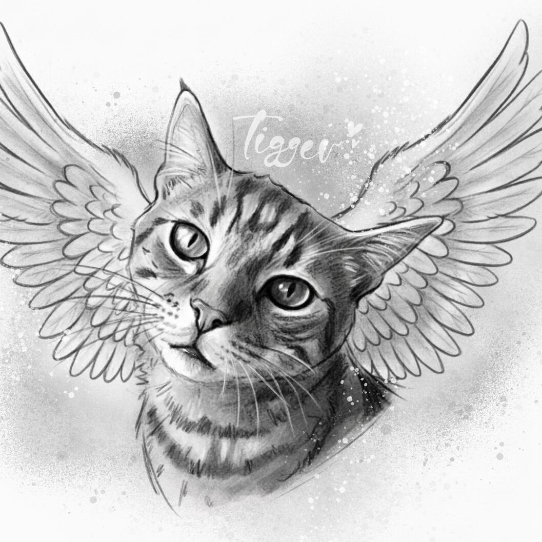 Tierportrait Erinnerung - Vara Artwork Tierportrait zeichnen lassen - personalisierte Zeichnung Haustier Erinnerung